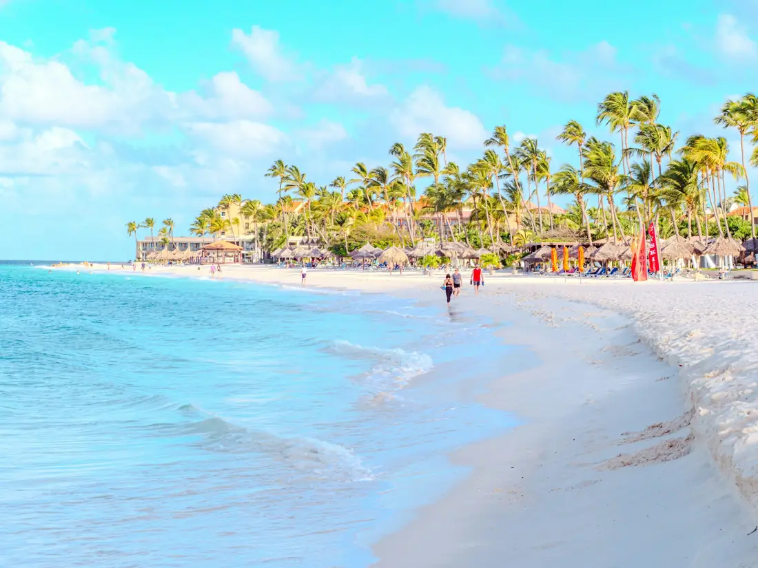 A white-sand tropical beach with palm trees and turquoise water